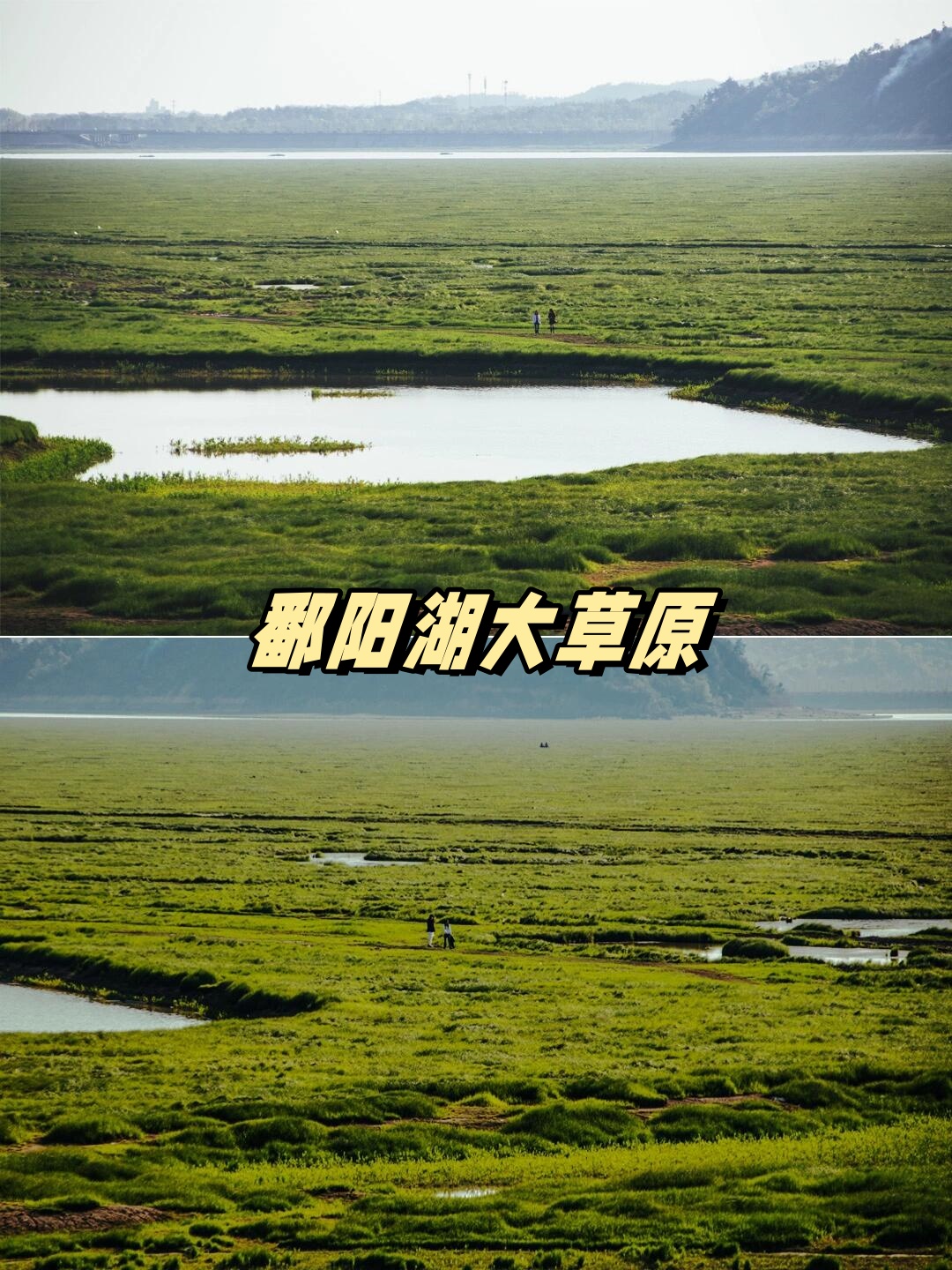 鄱阳湖大草原景区门票图片