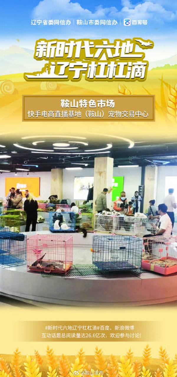 公民##新时代六地辽宁杠杠滴##有一种美好叫辽宁#看一看鞍山特色市场