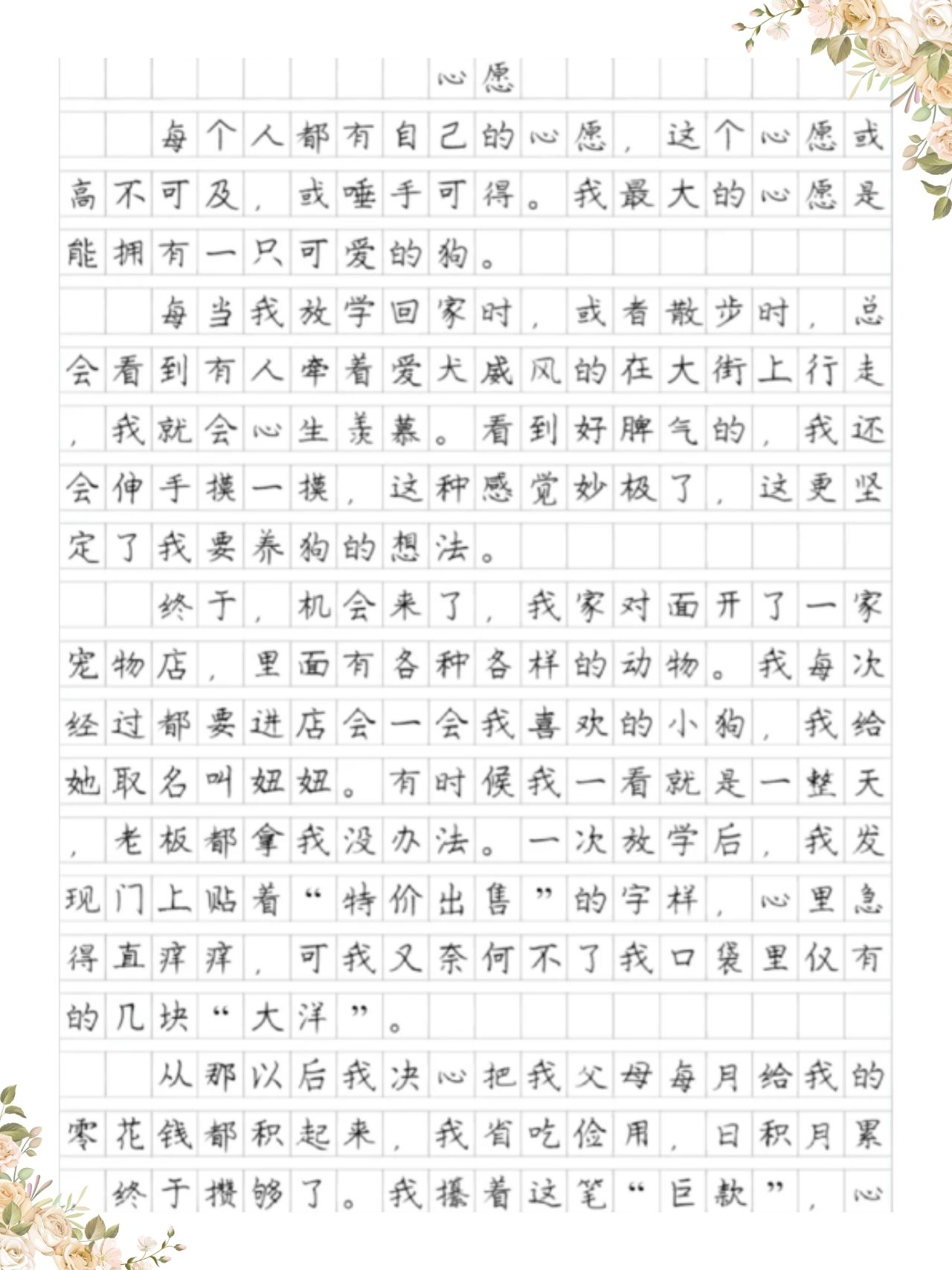作文心愿初衷(心愿作文初中600字)