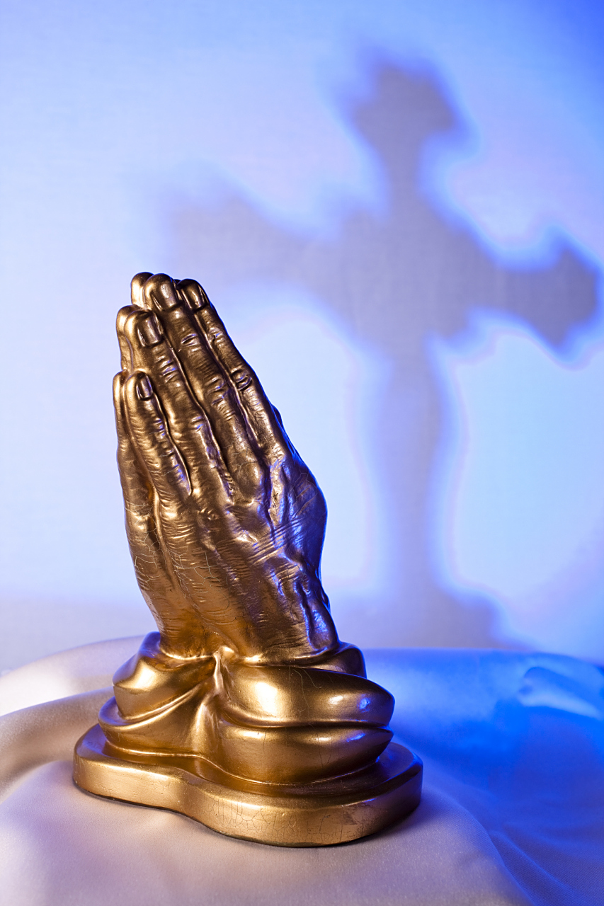 动态连更挑战# 曾经在知乎网看到一位网友抱怨自己