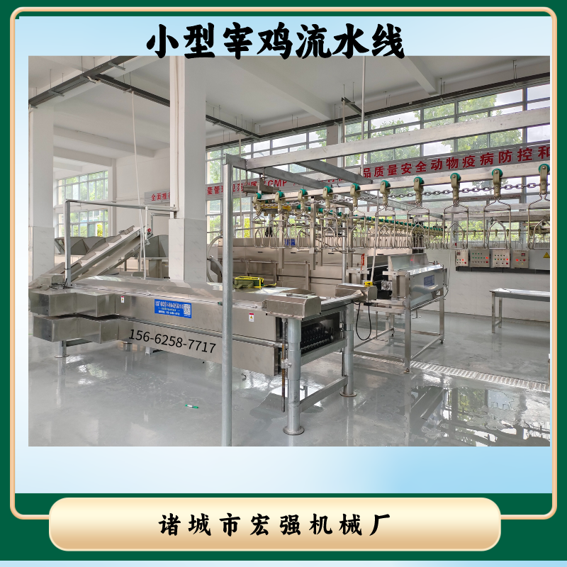 全自动小型宰鸡流水线