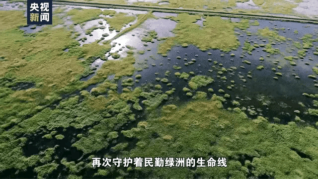 民勤县青土湖,60年前跟罗布泊几乎同时干涸,为何却能重现生机?