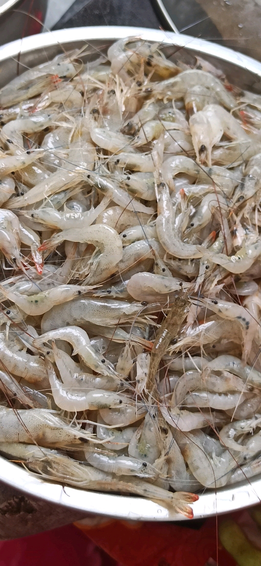 13元一斤的这种小海虾,我缝见必买,鲜甜柔软,在家煮虾,邻居都闻到香味