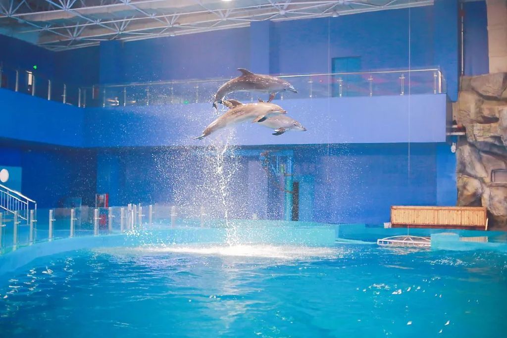 山东威海旅游攻略,这份自由行攻略够全面了吧,还不快收藏