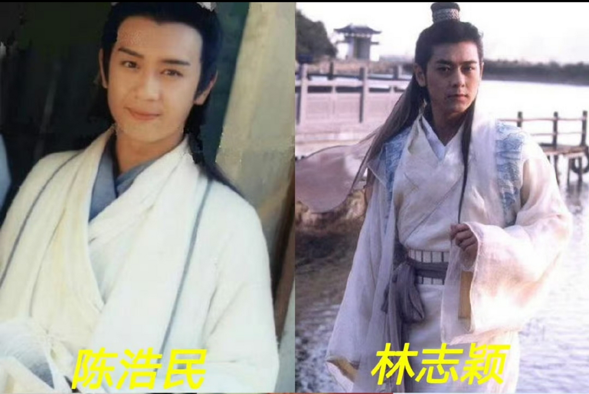 陈浩民和林志颖版本的段誉,哪一个符合你的梦想?