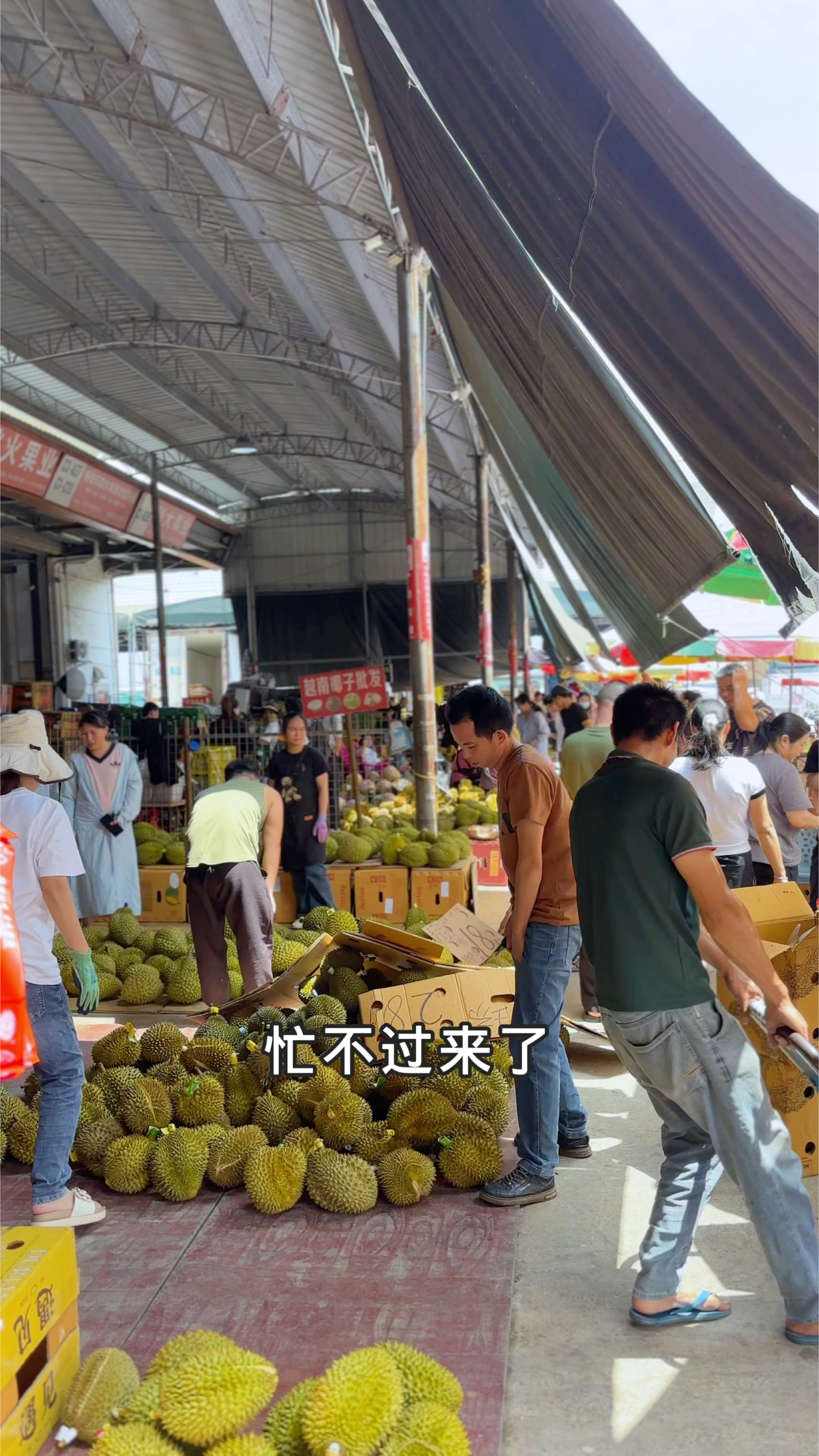 南宁海吉星市场榴莲,18.8元一斤,来买的人真多啊!-度小视