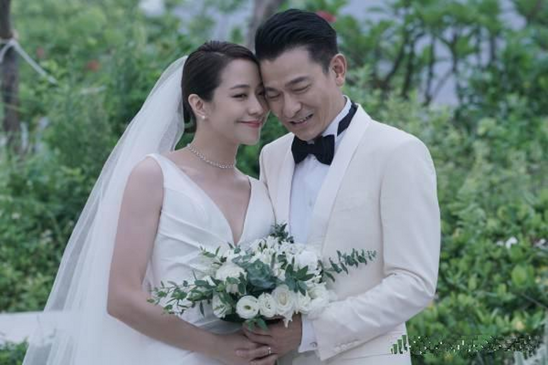 刘德华和林嘉欣的婚纱写真