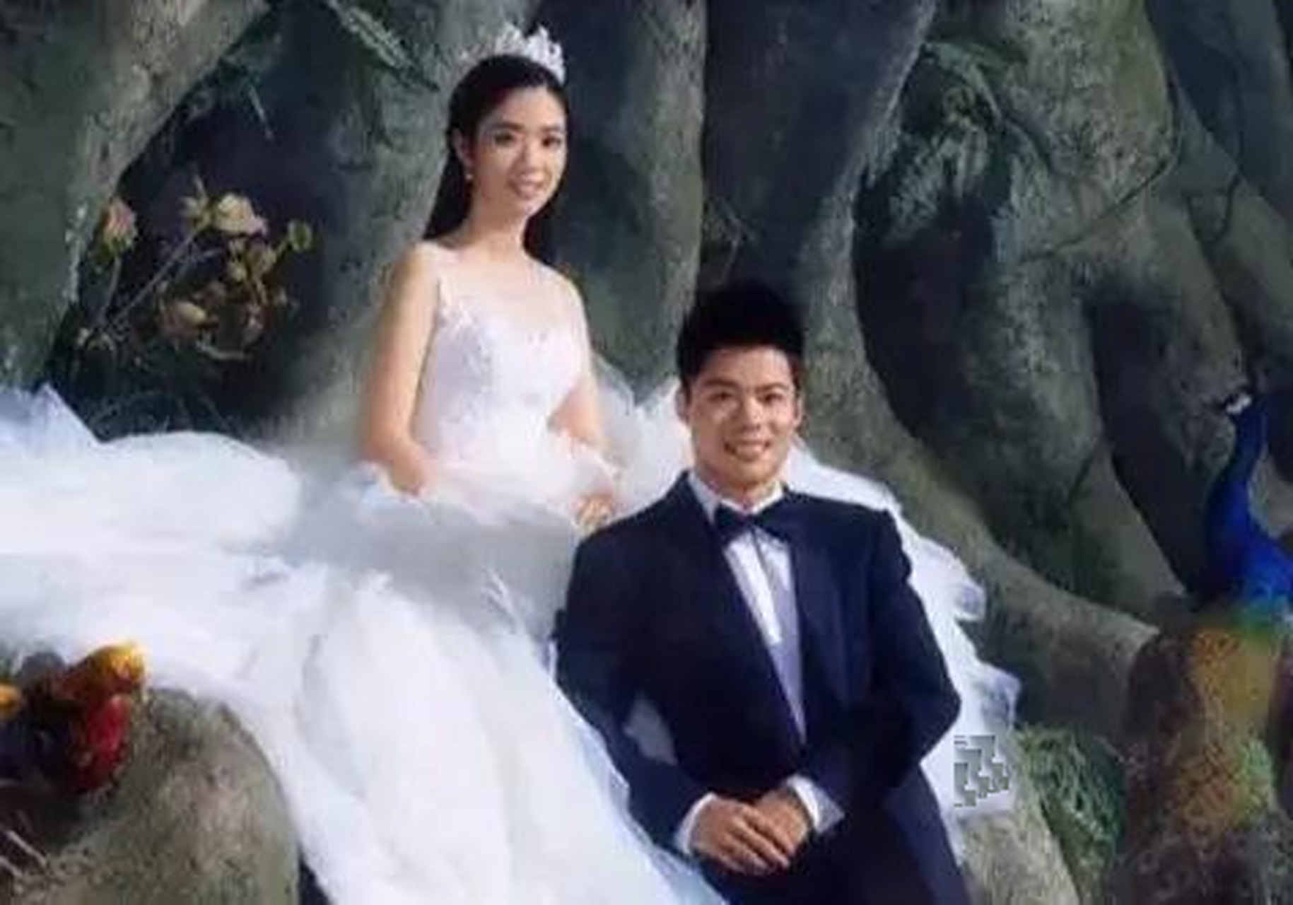 苏炳添的结婚照