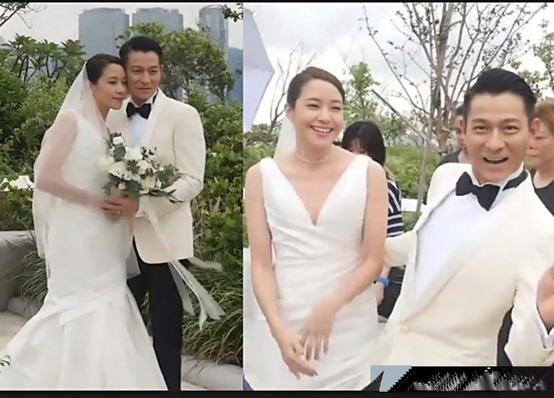 刘德华和林嘉欣的婚纱写真