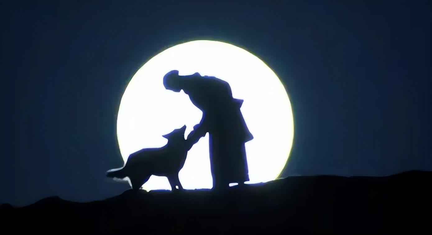 回顾:把狼当儿子养的四川妹子,多年后再次相认结局如何?