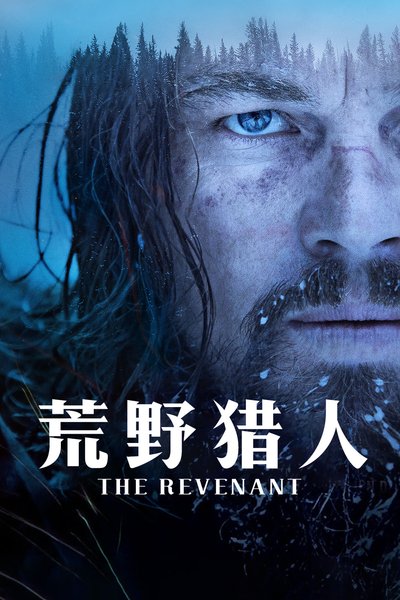 关于冒险电影排行榜(关于冒险电影排行榜的电影)