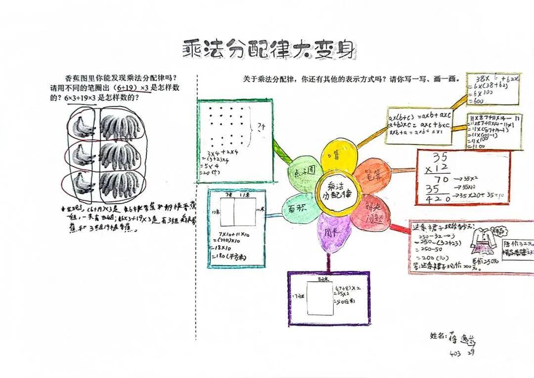 教师书话|探究性作业实践·四年级"乘法分配律大变身"