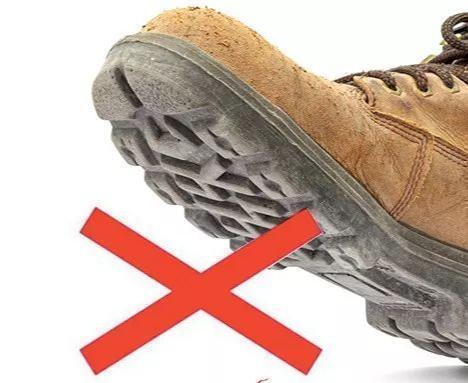 九成人不知晓"蟑螂"的天敌是啥:在屋里面摆点它,蟑螂"跑光光"了