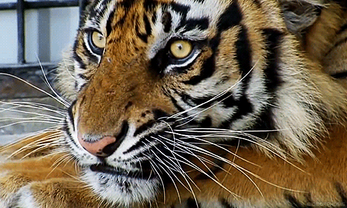 回顾:已不足37度!人类体温在快速变低,为何男性比女性下降得快