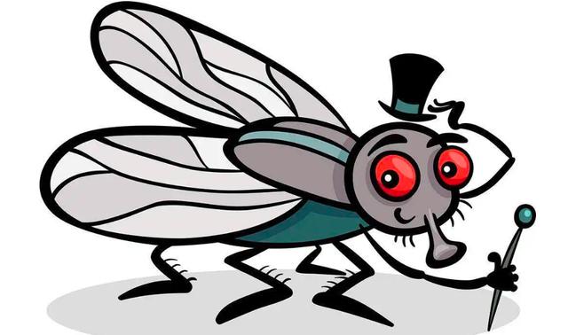 回顾:苍蝇在地球上有什么用?若被人为灭绝,会产生什么后果吗?