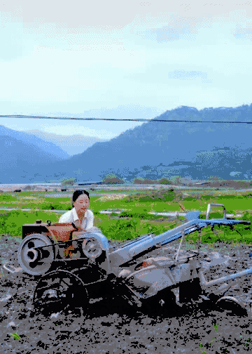 自己摇动拖拉机,轰轰烈烈开着拖拉机耕田,光是那场面,腿枚嗌倌腥