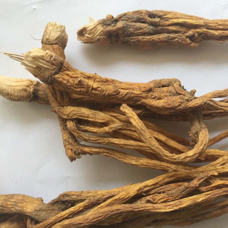 每日认识一味药之秦艽