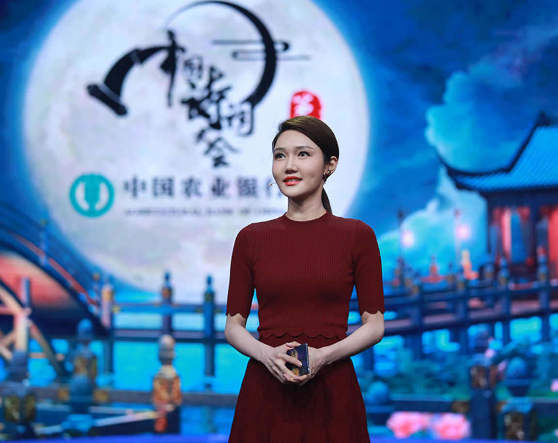 回顾央视主播龙洋:从湖南走出的央视才女,32岁却仍是单身