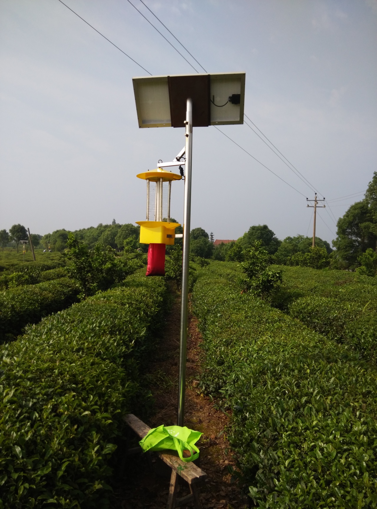 太阳能杀虫灯,照亮茶园绿色增产路!