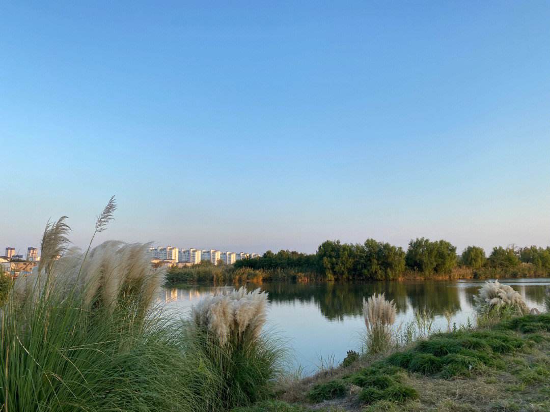 三门旅游必去十大景点:探秘东海明珠的瑰丽画卷