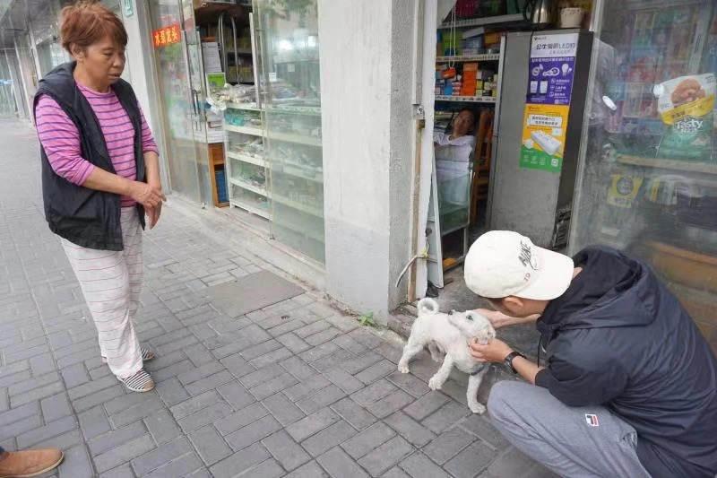 回顾:从月薪3000到年入200万,他靠帮人找猫狗成宠物侦探,凭啥