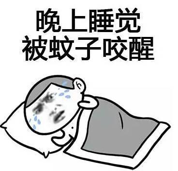 原来蚊子最大的天敌,不是蚊香?教你一招,开窗睡也不怕