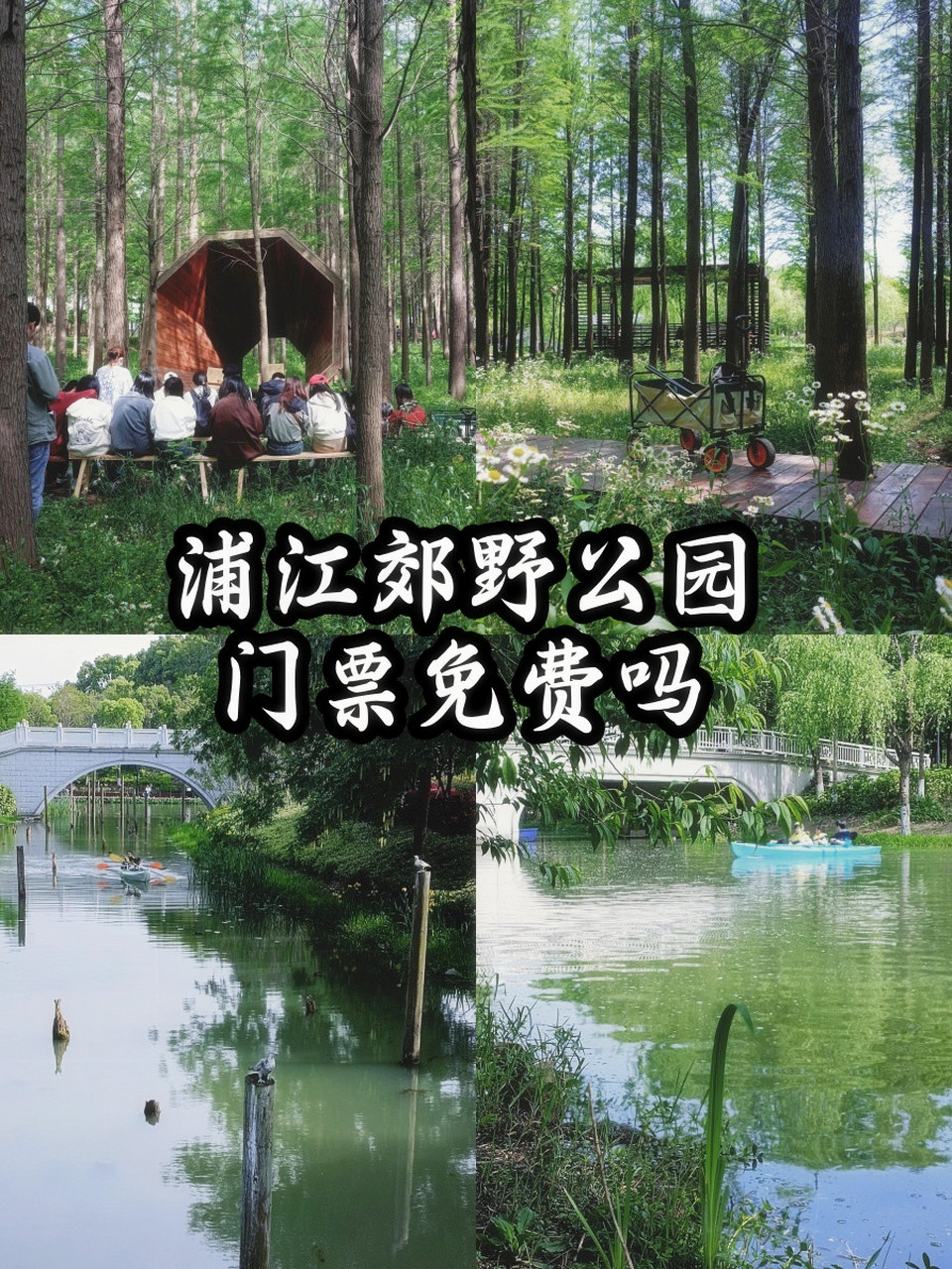 浦江郊野公园门票免费,你还在等什么?