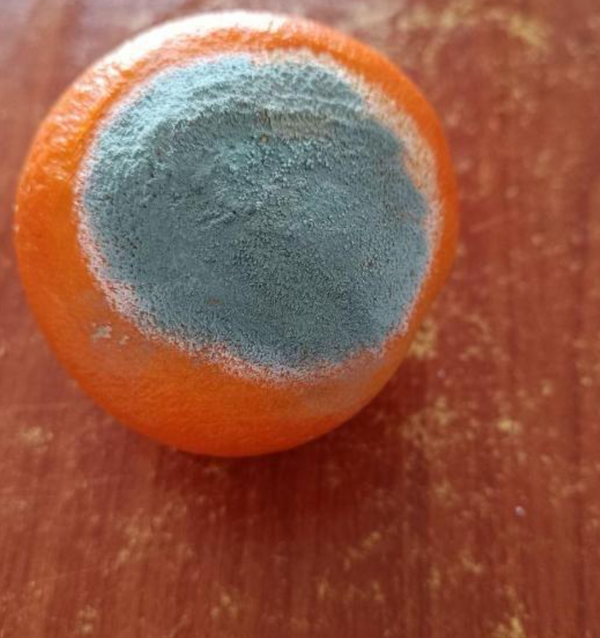 就想问一下大家,坏了一半的橘子还能吃吗?