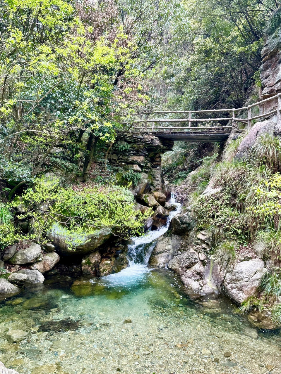 九江附近的景区  九江小众吸氧圣地——莲花洞森林公园  我是自驾去的