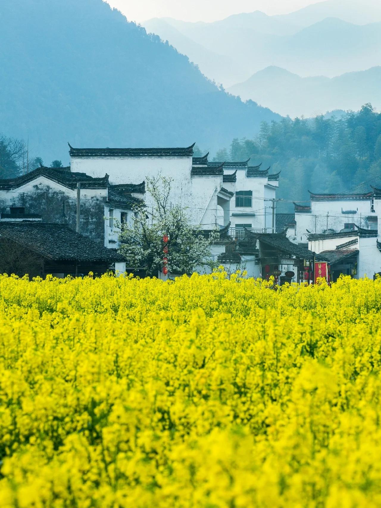 江西这些旅游景点简直美炸天  上饶市 景点:婺源,篁岭,望仙谷景,葛