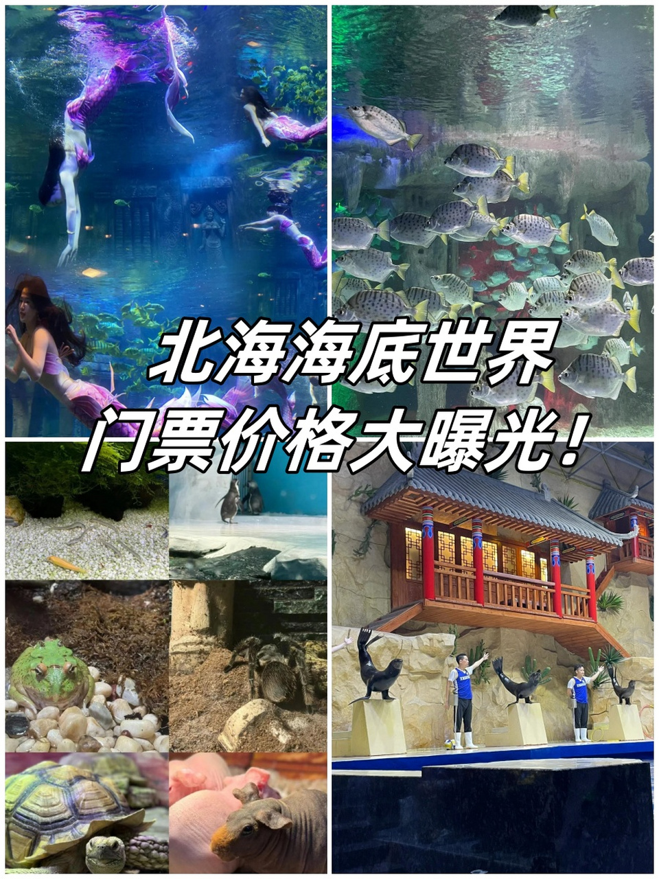 北海海底世界门票价格图片