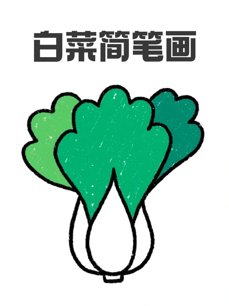 白菜简笔画 94我画蔬菜系列的简笔画时会感觉很治愈,宝子们会有这样