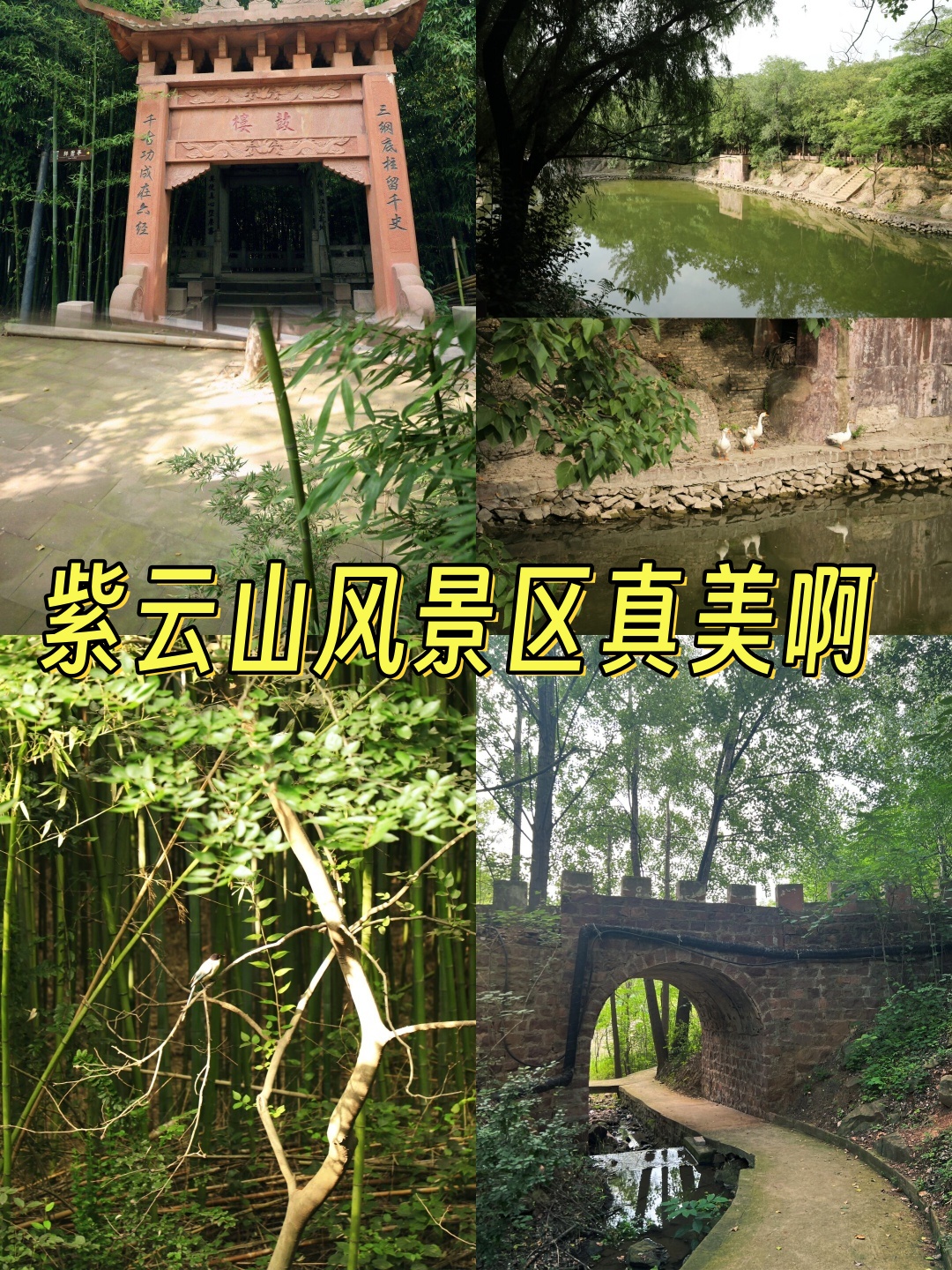 这不,我无意间就找到了一个宝藏地——许昌襄城县紫云山!