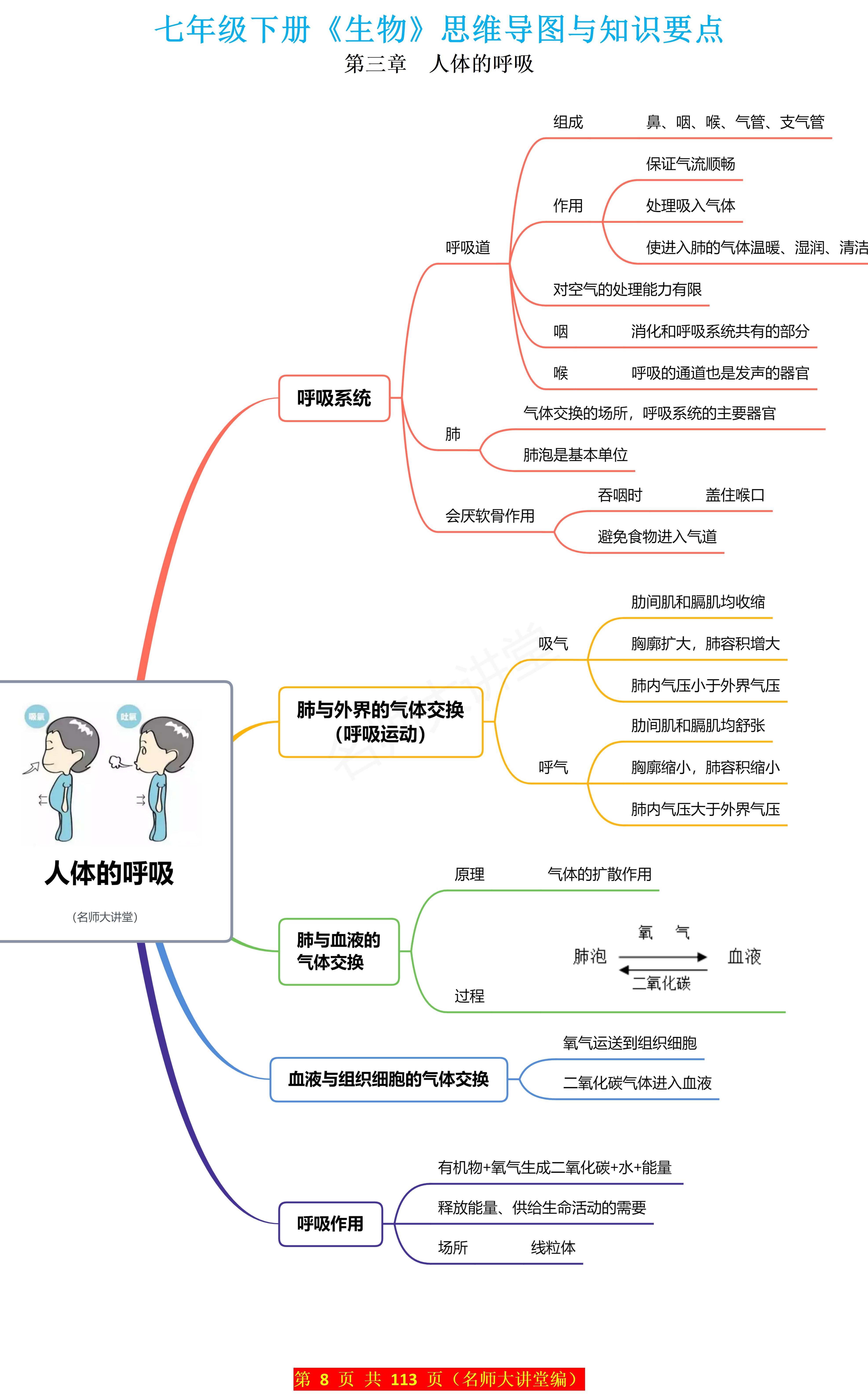 人体的呼吸知识点图片