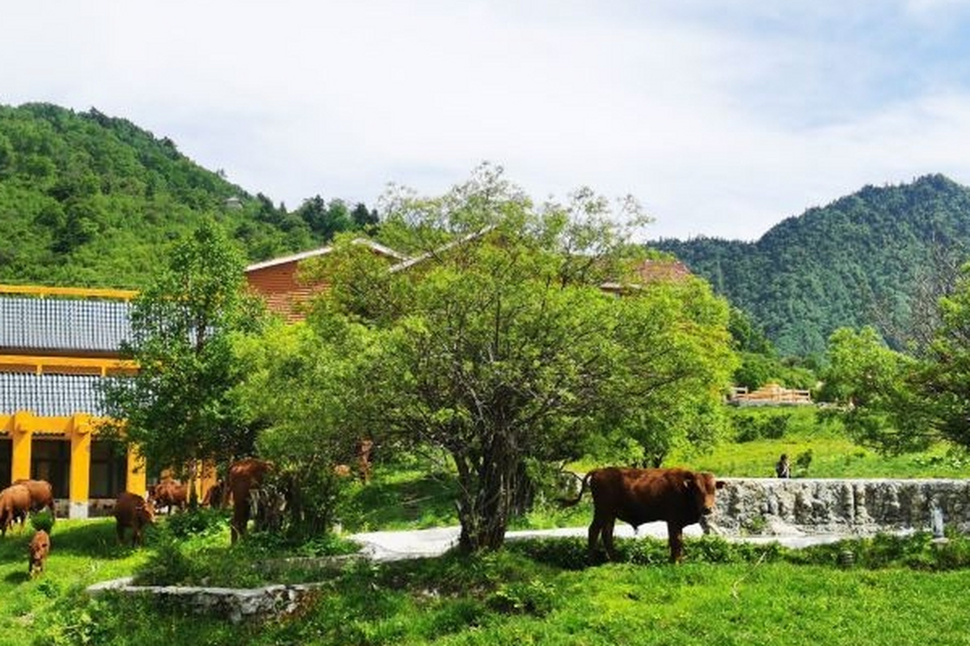 甘肃神奇的旅游景点有哪些 1,拉尕山 拉尕山位于中国甘肃省舟曲县立节