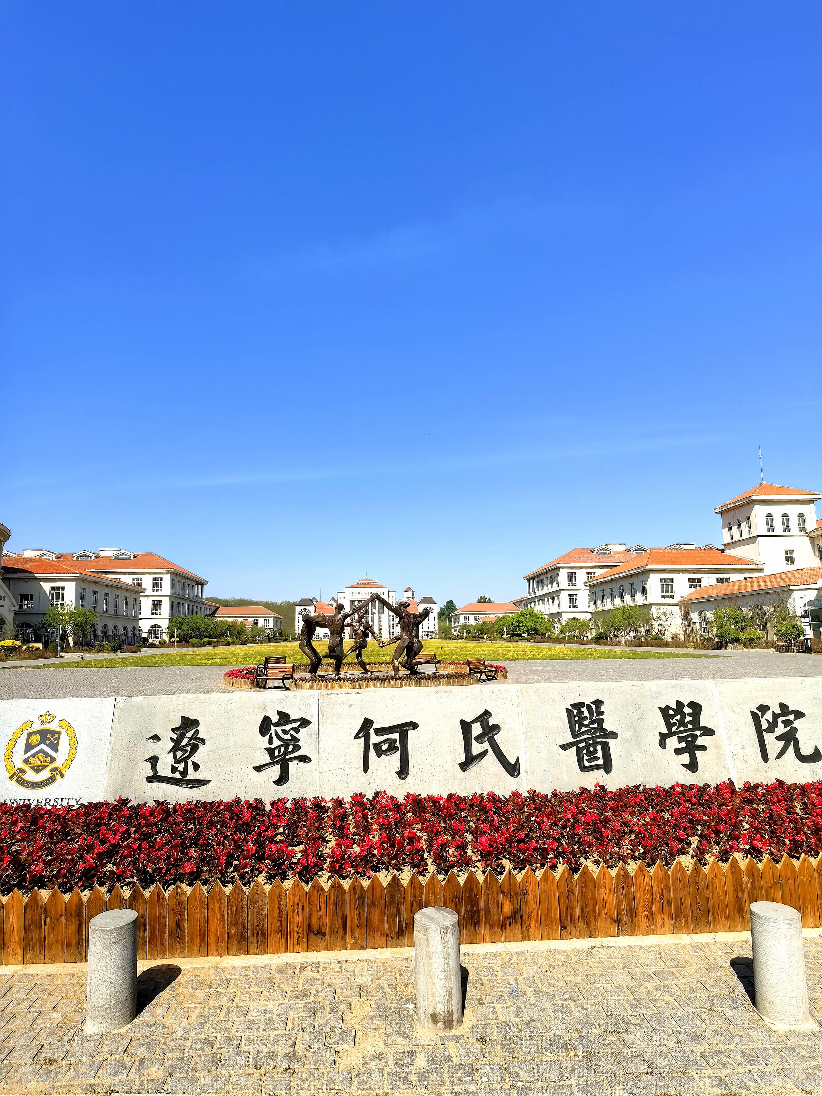 99重磅揭秘!辽宁何氏医学院学费大公开93