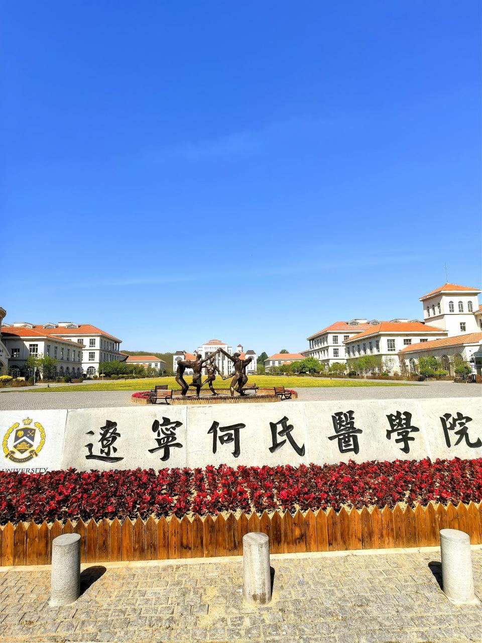 辽宁何氏医学院学费大公开93 95亲们,今天我要带大家揭秘一下辽宁