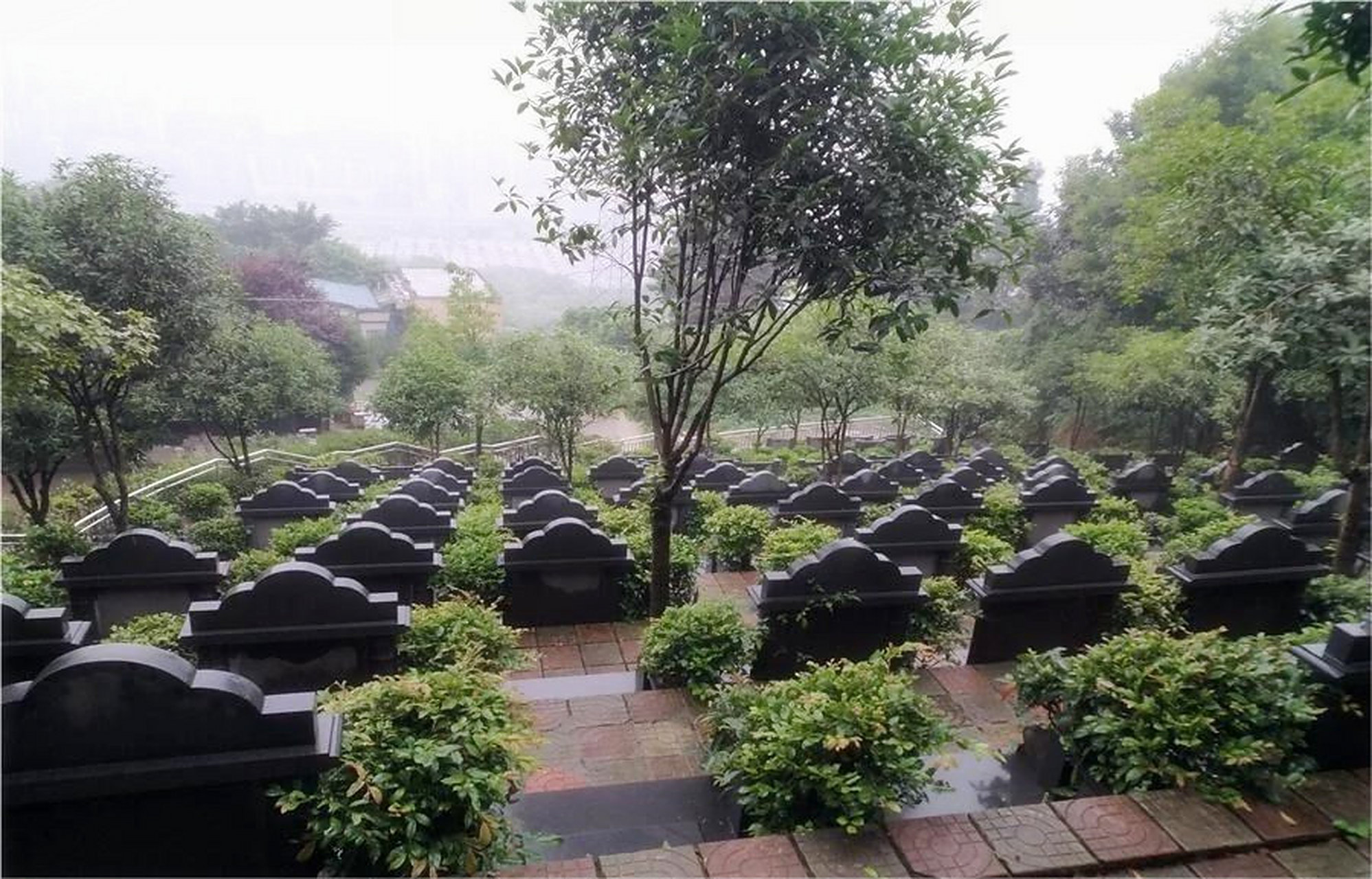 南山龙园价格的真相竟然是……  今天给大家介绍重庆的公墓南山龙园
