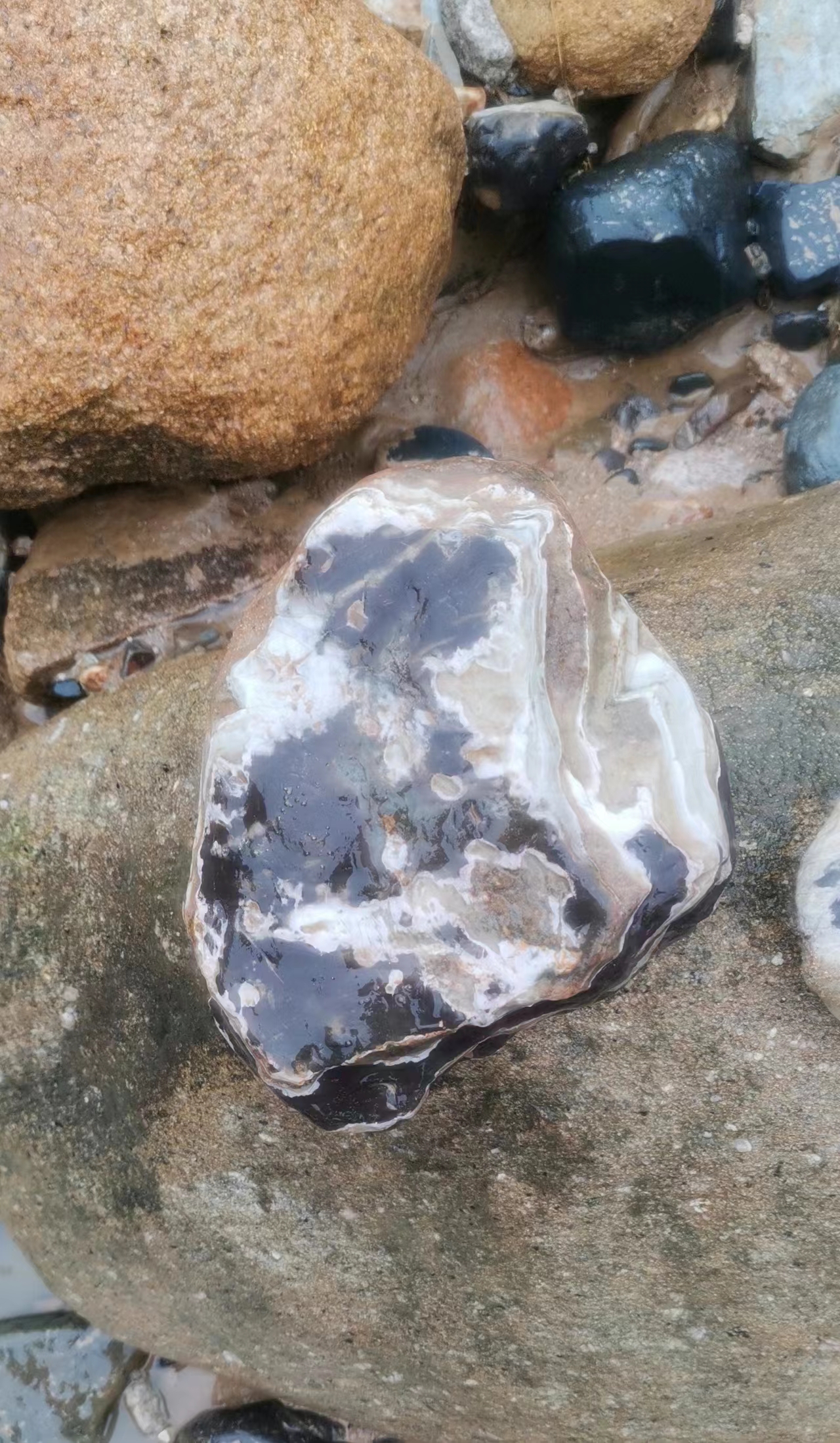 陪男朋友在河边钓鱼,闲得无聊就到处逛了逛,看到了几个独特的石头