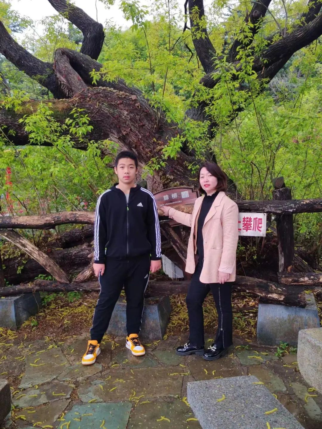 看哭了~这些写给妈妈的话太催泪!