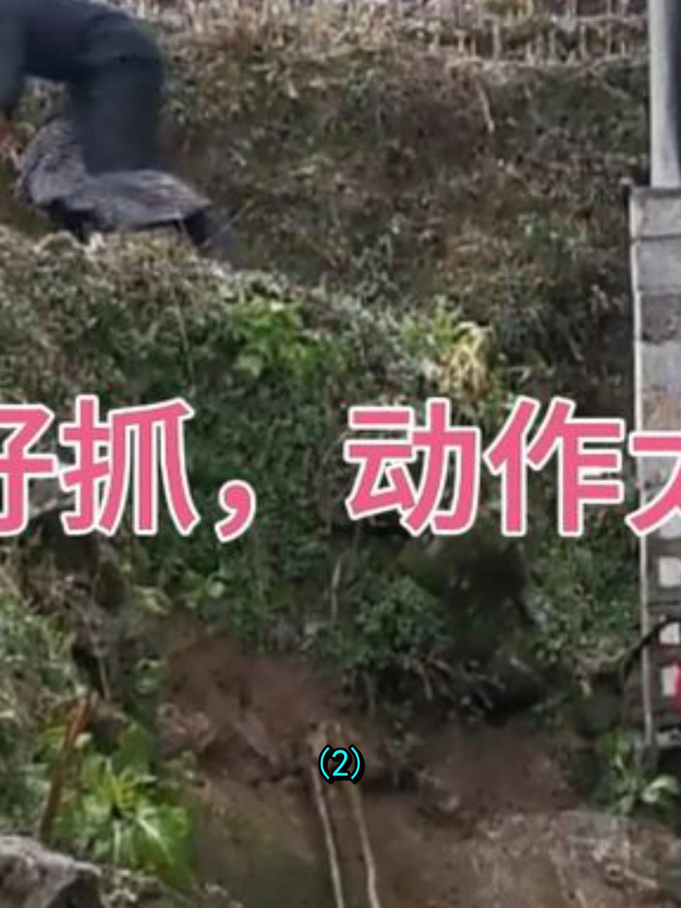贵州农家门锁腊肉,黑衣女子鬼祟偷窃,被监控拍下惊天一幕!