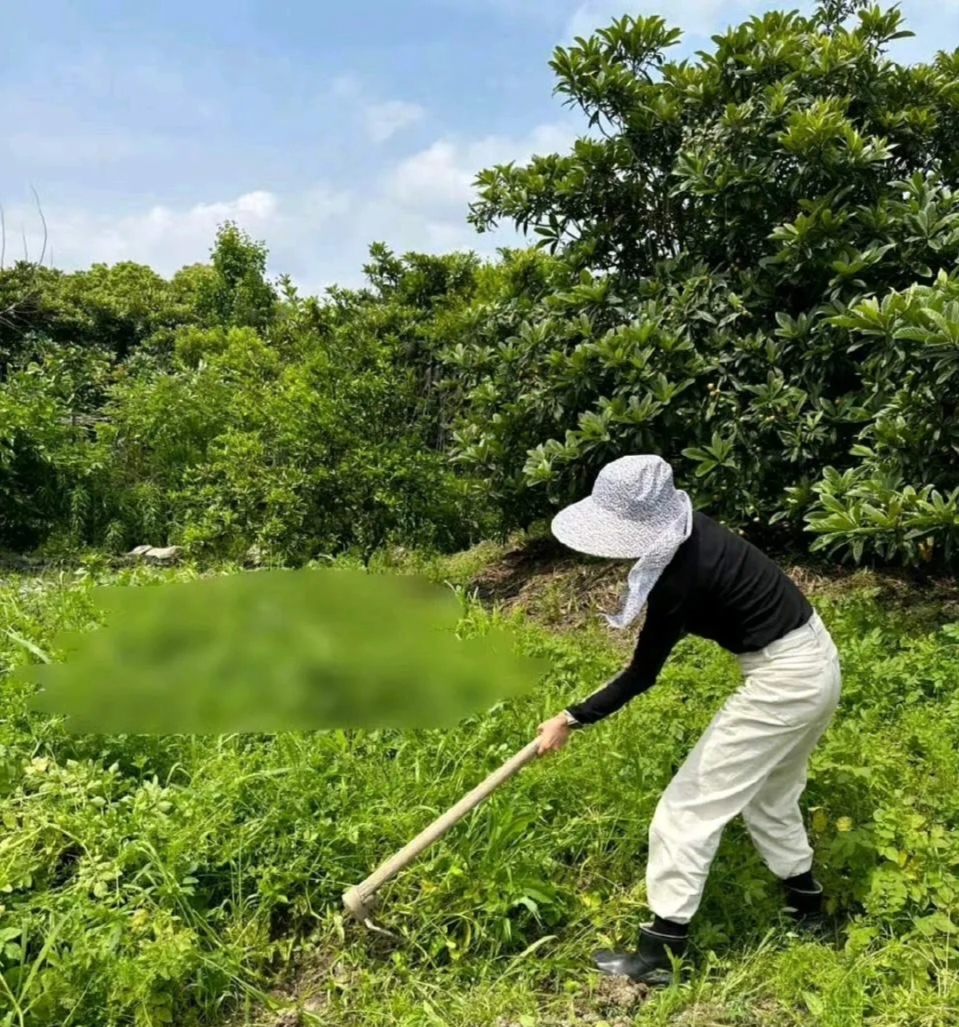 为什么现在的年轻人一难过了,就想从职场辞职,回家种地呢?