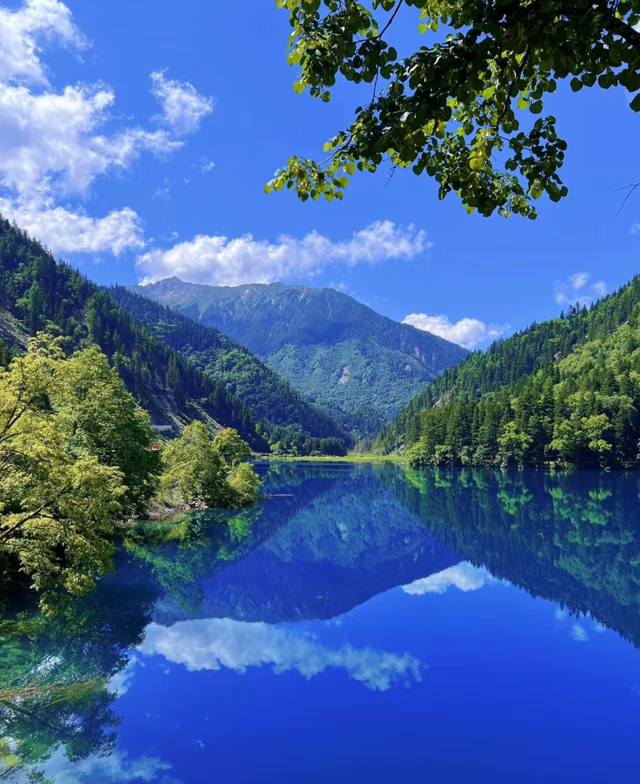 五一九寨沟最佳游玩季节来了