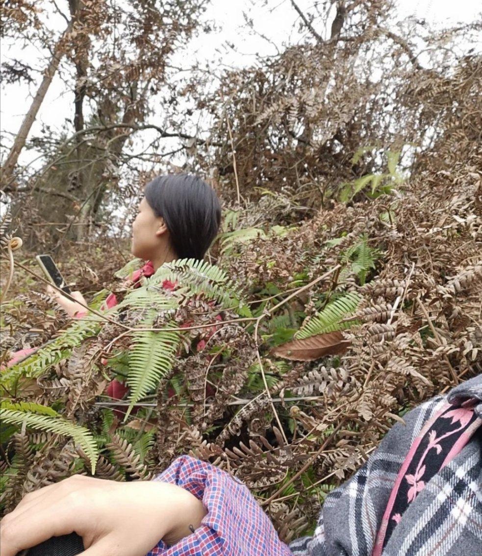 每年和我妈亲戚去山上挖小孩拳野菜,不论是炒着,包包子,凉拌等味道