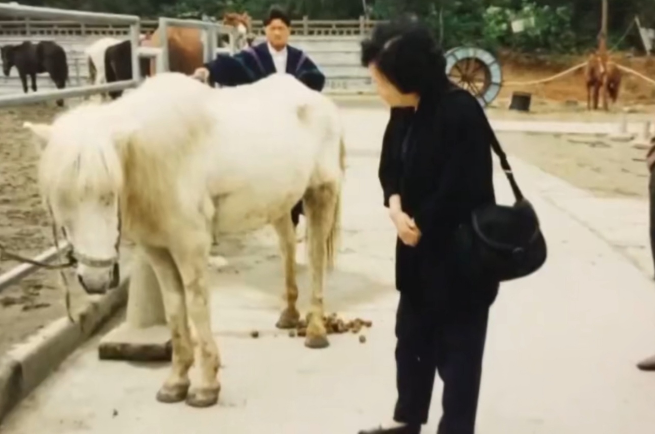 《西游记》拍完后,白马被当做摇钱树,瘦的不成样子,惨死山洞