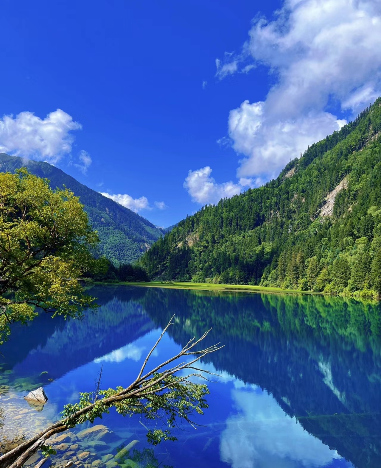 五一九寨沟最佳游玩季节来了