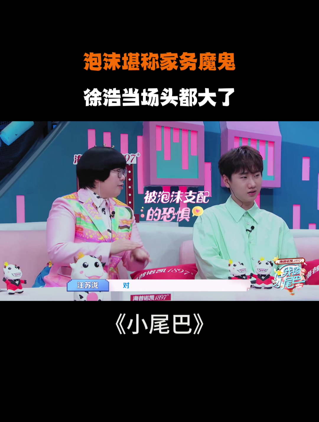 泡沫堪称家务魔鬼!徐浩当场头都大了丨我的小尾巴
