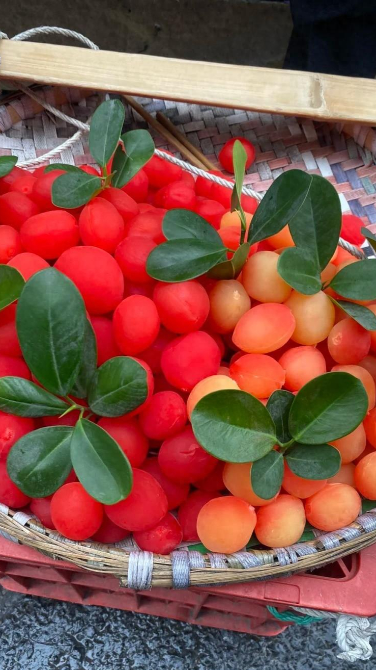 大家在大街上或者各种景区见过这种水果没得?