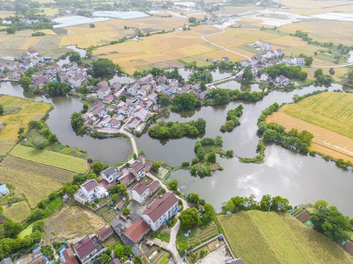 安徽宣城:航拍郎溪县建平镇夏日田园,麦熟时节美丽乡村如画卷
