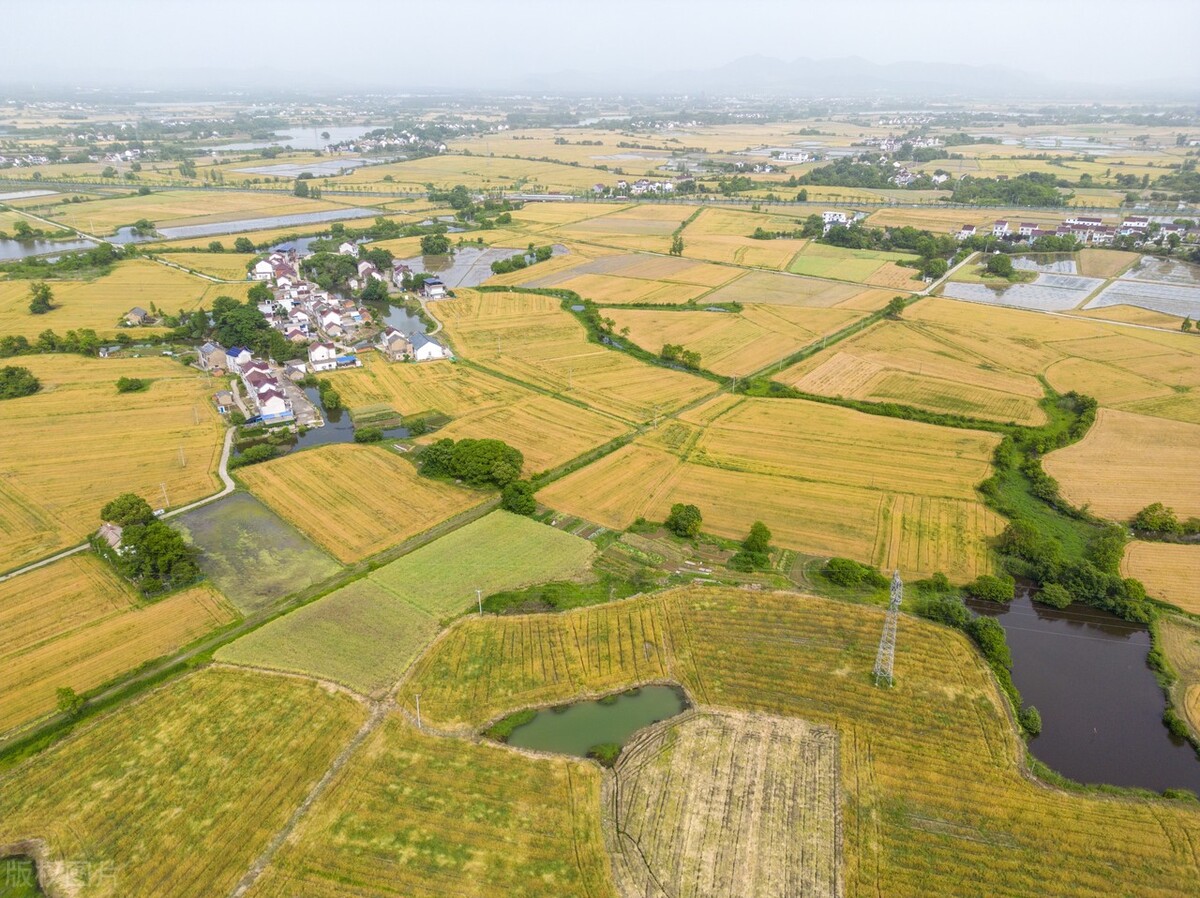 安徽宣城:航拍郎溪县建平镇夏日田园,麦熟时节美丽乡村如画卷